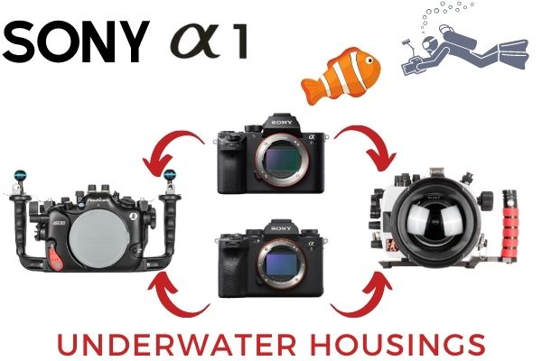 Sony A1 Underwater Housings