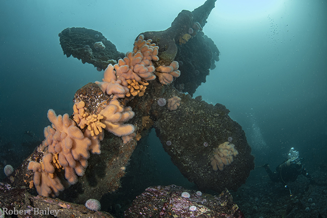 Discovering Shetland, Scotland Jane_Propeller