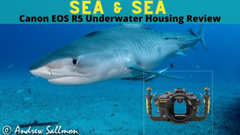 Sea & Sea Canon EOS R5 Housing Review andy