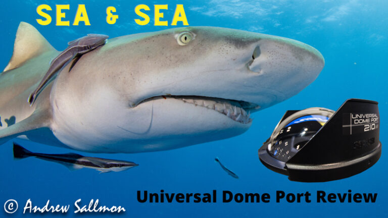 Sea & Sea Universal Dome Port Review udpreview