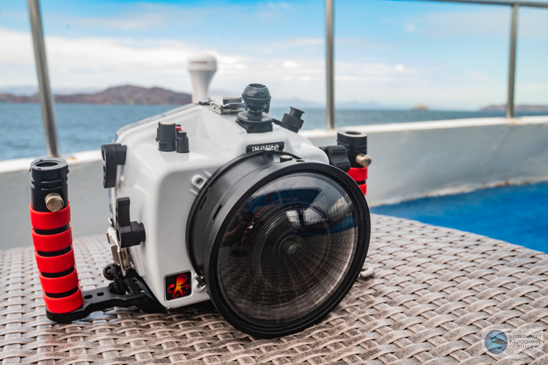 Ikelite Canon R5 Underwater Housing in the Field Ikelite Canon R5 Underwater Housing in the Field