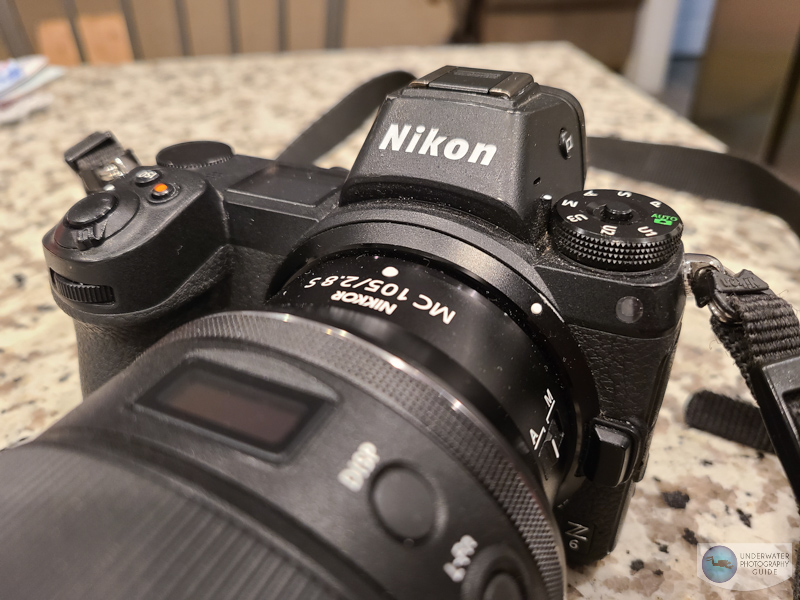 nikon z7 underwater