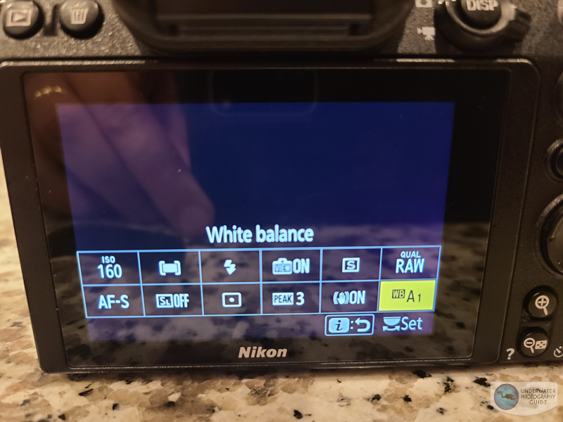 Nikon i Menu Nikon i Menu