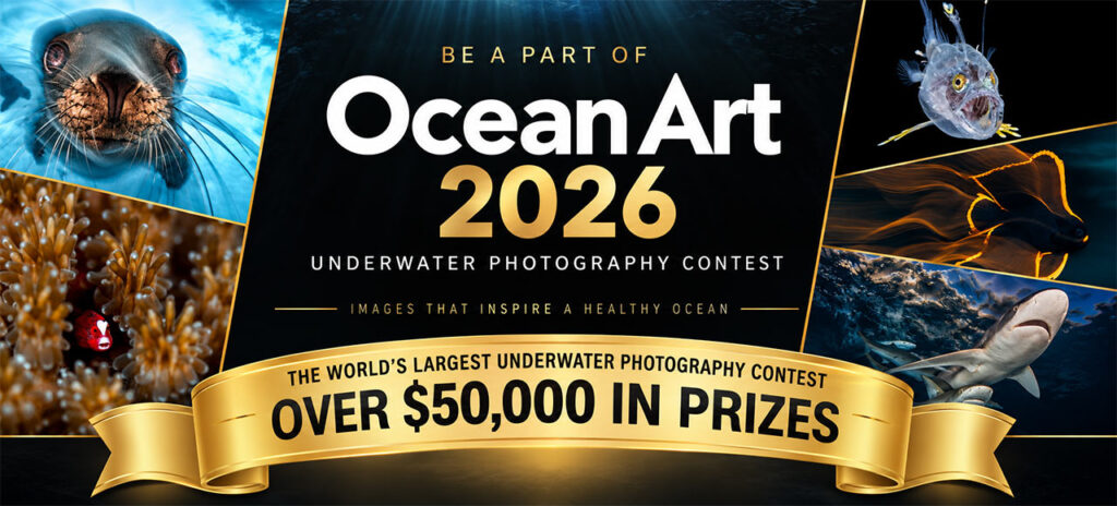 Ocean Art 2026