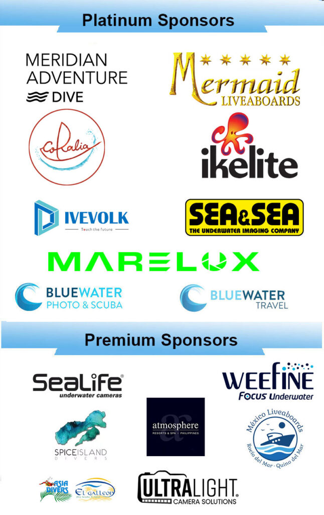 ocean art sponsors