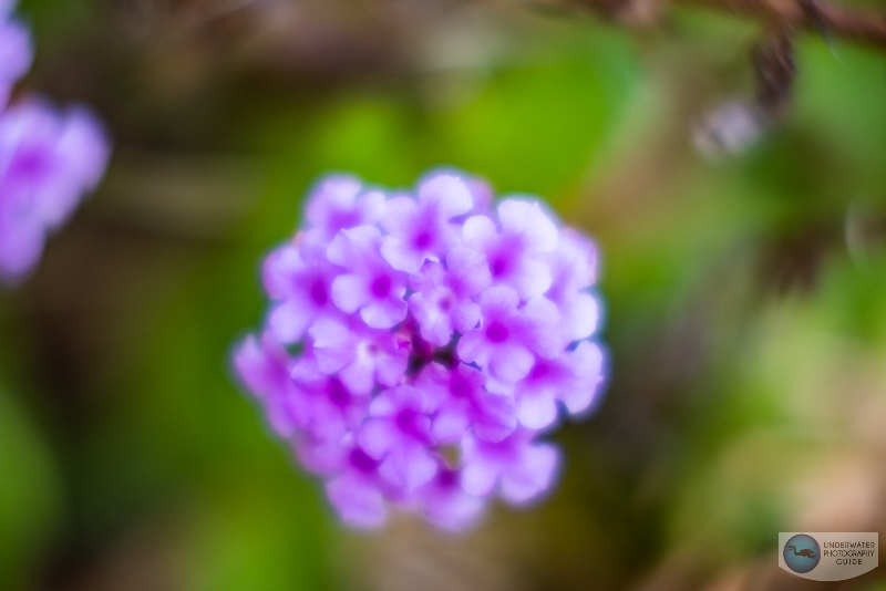 SA Control Ring in the - Position SA Control Ring in the - Position