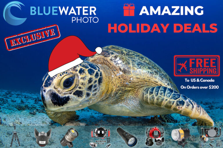 2021's Top Deals for Underwater Photographers holiays (4)