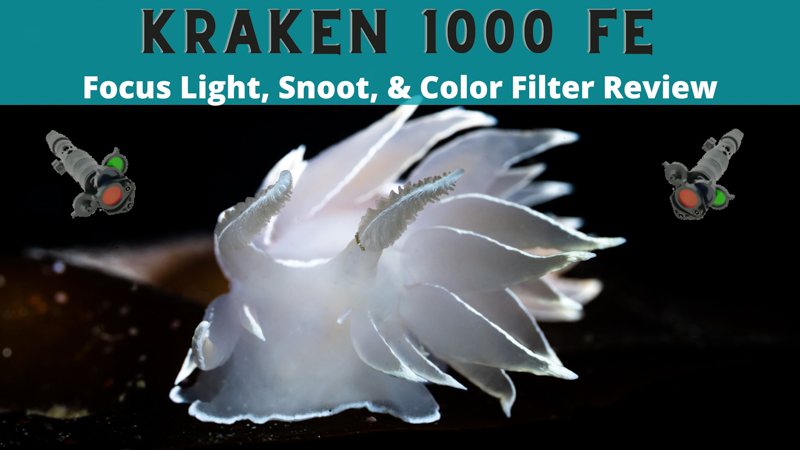 Kraken 1000 FE Focus Light Review – with Snoot & Color Filters