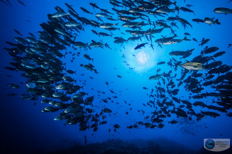 Minimal flare or aberration when shooting into the sun Minimal flare or aberration when shooting into the sun