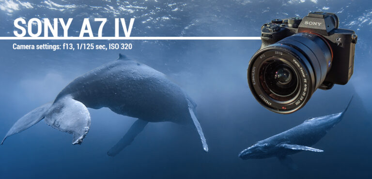 Sony A7 IV Review 28f85d3d-6112-1db0-2355-03af3ce4e76d