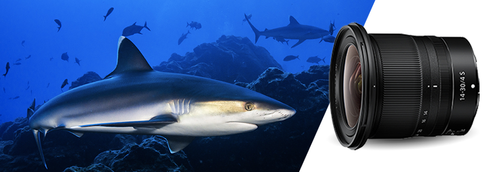 5bcbeaa3-b5ee-598c-398d-3ff931f568e4