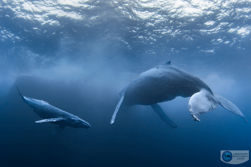 Although it's difficult to see at low resolution, if you look at the shadows of this photo, you can see some minor banding after I increased the exposure of my shadows in lightroom. f/13, 1/125, ISO 320 Although it's difficult to see at low resolution, if you look at the shadows of this photo, you can see some minor banding after I increased the exposure of my shadows in lightroom. f/13, 1/125, ISO 320