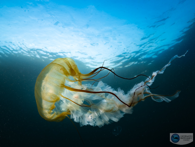 My GH6 died after I took this photo. f/13, 1/100, ISO 250 My GH6 died after I took this photo.