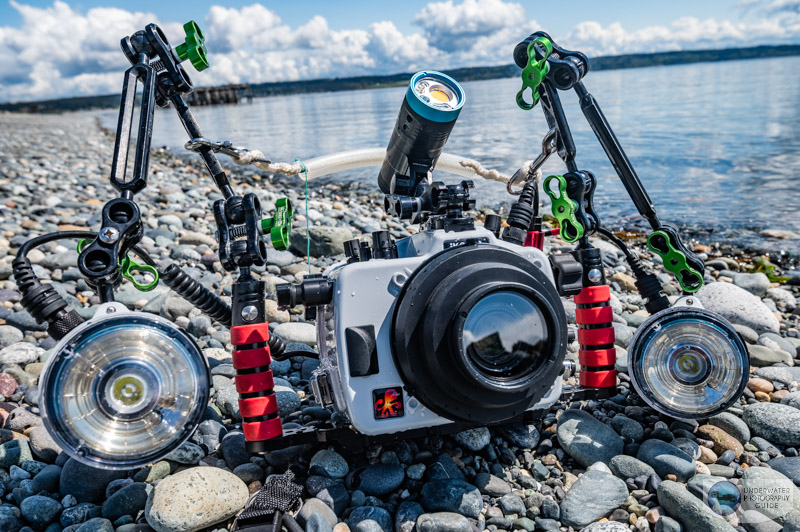An Ikelite Panasonic GH6 housing and dual Ikelite DS 230 strobes in the field An Ikelite Panasonic GH6 housing and dual Ikelite DS 230 strobes in the field