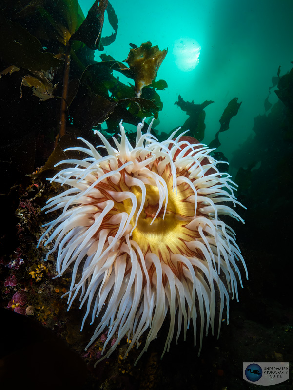 Incredible details in the highlights and shadows of this image captured with the GH6. f/14, 1/100, ISO 250 Incredible details in the highlights and shadows of this image captured with the GH6. f/14, 1/100, ISO 250