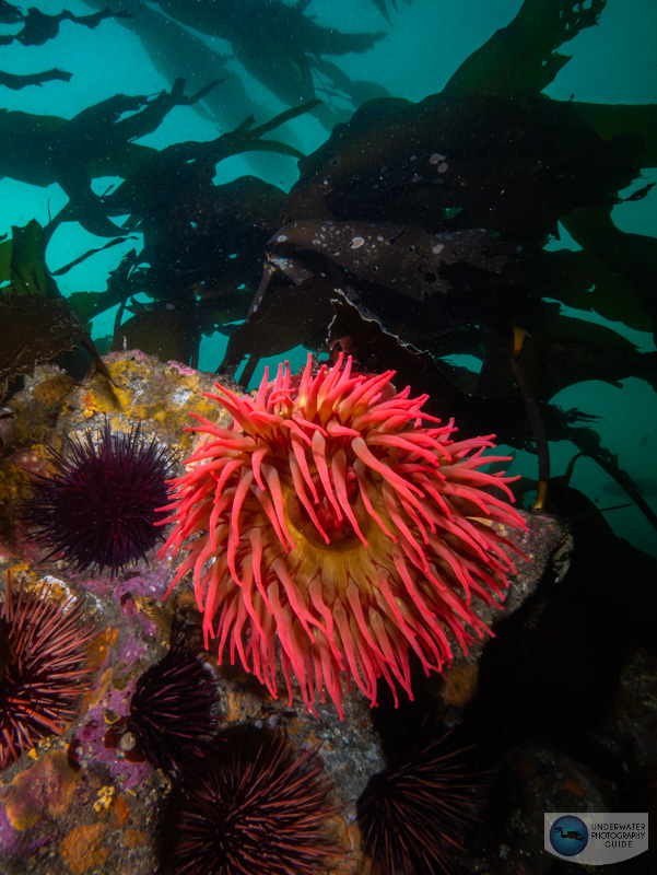 This photo was captured with the Olympus 7-14mm f/2.8 Pro lens and the Panasonic GH6 This photo was captured with the Olympus 7-14mm f/2.8 Pro lens and the Panasonic GH6