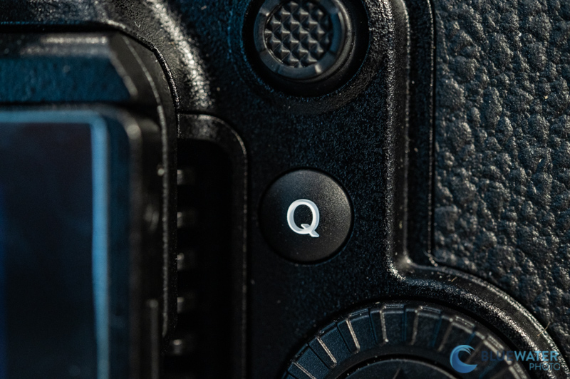 q button Panasonic gh6