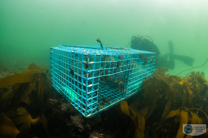 An empty lobster trap in the shallow water of Cape Elizabeth in the Gulf of Maine An empty lobster trap in the shallow water of Cape Elizabeth in the Gulf of Maine