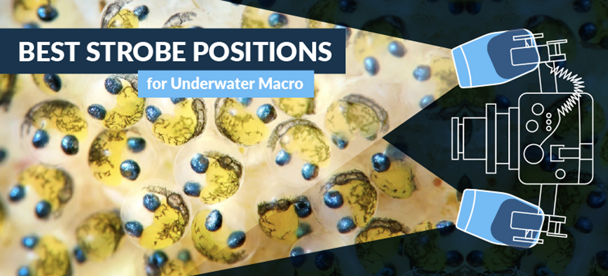 a989671b-4c77-9503-3159-b4cec516609a