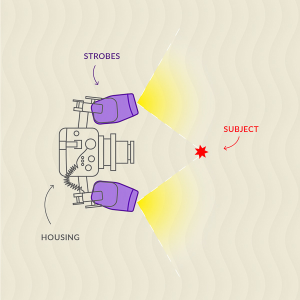 Strobes are angled out for average size macro critters. Dark space between lens and subject helps to minimize backscatter. Strobes are angled out for average size macro critters. Dark space between lens and subject helps to minimize backscatter.