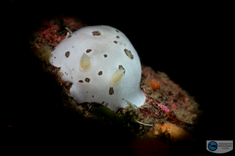 The beam with a half open aperture/iris The beam with a half open aperture/iris