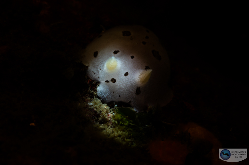 The beam with a mostly closed aperture/iris to create dramatic lighting The beam with a mostly closed aperture/iris to create dramatic lighting