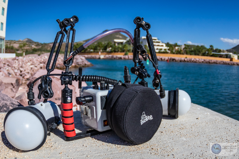The ultimate Ikelite Canon R10 system in the field - with dual DS 230 strobes and an Ikelite TTL converter. The ultimate Ikelite Canon R10 system in the field - with dual DS 230 strobes and an Ikelite TTL converter.