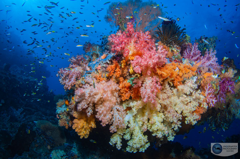 Great IBIS keeps photos looking nice a sharp, which is perfect for photographers that love to crop of zoom in. If you'd like to see high resolution Sony a7R V photos, contact sales@bluewaterphotostore.com Great IBIS keeps photos looking nice a sharp, which is perfect for photographers that love to crop of zoom in. If you'd like to see high resolution Sony a7R V photos, contact sales@bluewaterphotostore.com