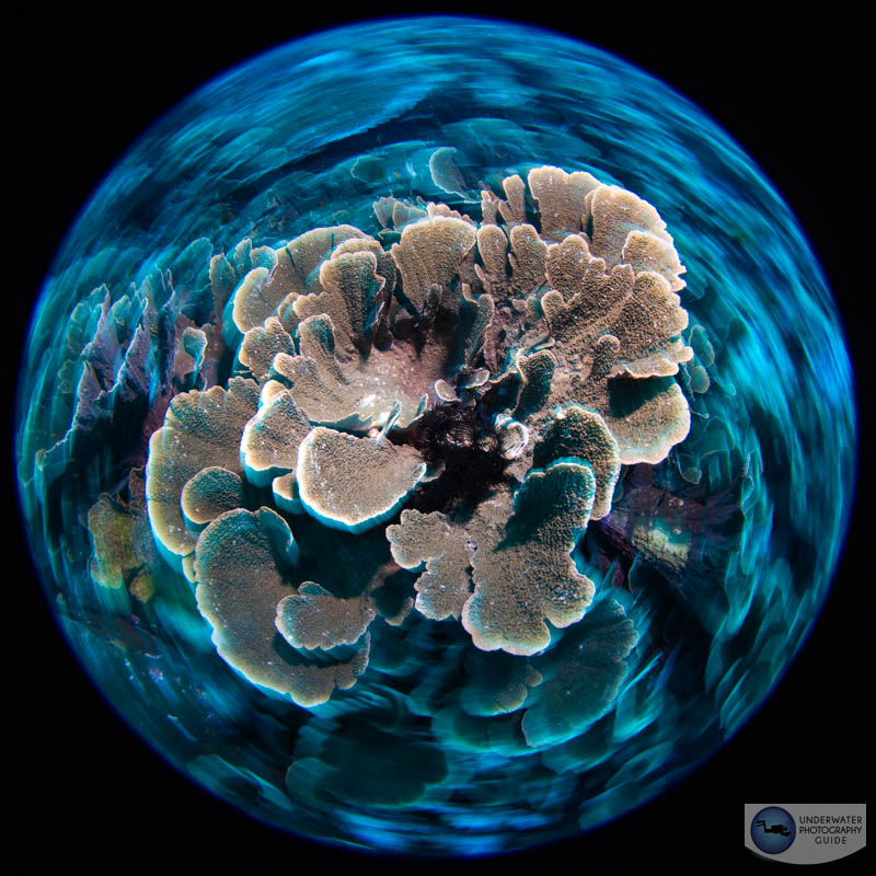 A circular fisheye photo captured with the Canon 8-15mm fisheye. f/14, 1/8, ISO 250 A circular fisheye photo captured with the Canon 8-15mm fisheye. f/14, 1/8, ISO 250