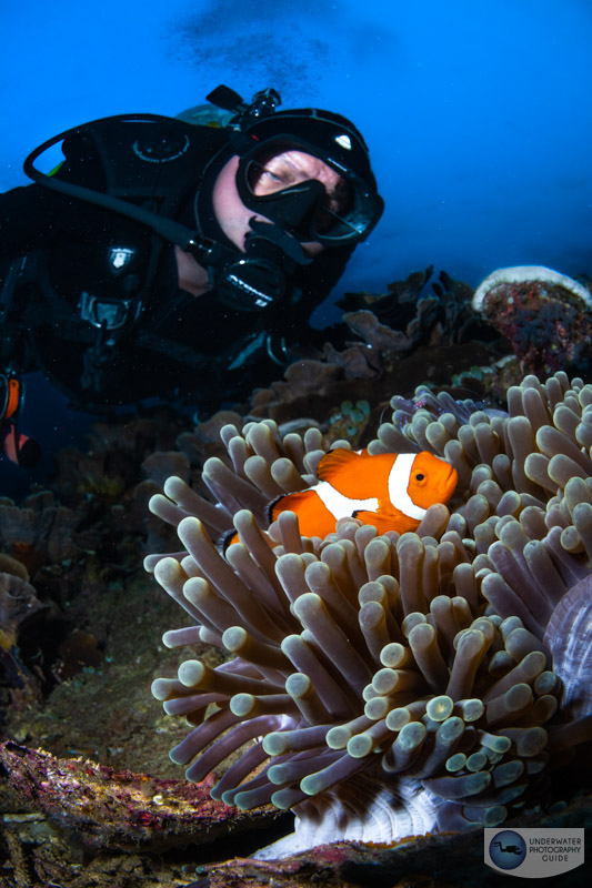A beautiful portrait of an anemonefish and anemone being observed by a diver captured with the Sony A7R V in an Ikelite A7R V housing with a Canon 8-15mm fisheye lens & Sigma MC-11 converter, dual Ikelite DS 230 strobes. f/18, 1/80, ISO 400 A beautiful portrait of an anemonefish and anemone being observed by a diver captured with the Sony A7R V in an Ikelite A7R V housing with a Canon 8-15mm fisheye lens & Sigma MC-11 converter, dual Ikelite DS 230 strobes. f/18, 1/80, ISO 400