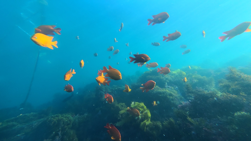 Photo captured with the wide lens on the Galaxy S20 in the Kraken app without any accessories Photo captured with the wide lens on the Galaxy S20 in the Kraken app without any accessories