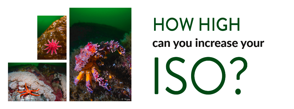How High Can You Increase Your ISO?