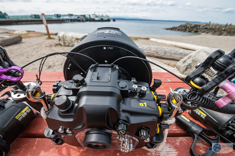Sea & Sea Sony Alpha Universal Housing Review
