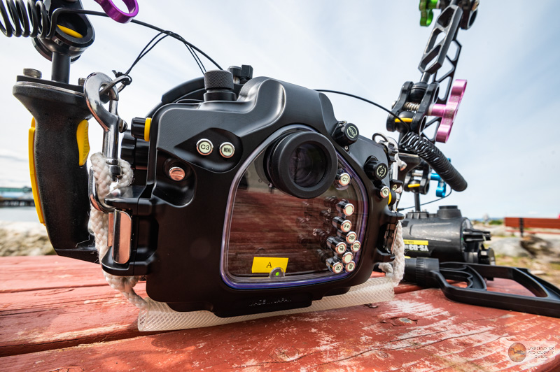 Sea & Sea Sony Alpha Universal Housing Review