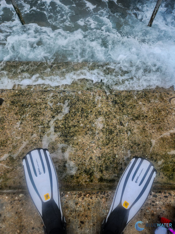 Stepping into the water with my Samsung Galaxy S22 in the DiveVolk housing Stepping into the water with my Samsung Galaxy S22 in the DiveVolk housing