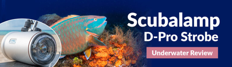 Scubalamp D-Pro Underwater Strobe Review scubalamp-review-webheader