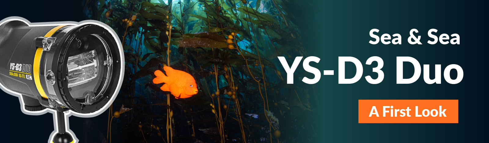 Sea & Sea YS-D3 Duo Strobes: A First Look