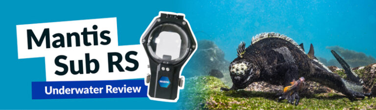 Mantis Sub RS 360 Underwater Review 237b57e7-d2fd-2aec-7235-95e6dc21d7b1