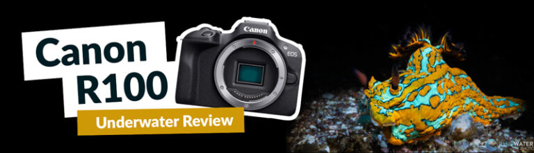 Canon R100 Review 9d7f791a-72a8-a2cb-fdda-7c7496ce706e
