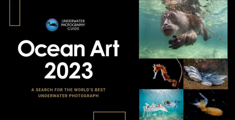 Ocean Art 2023 Photo Competition Judges Comments 07b22417-1182-2aa7-f8bd-eef4ef1c1ca9