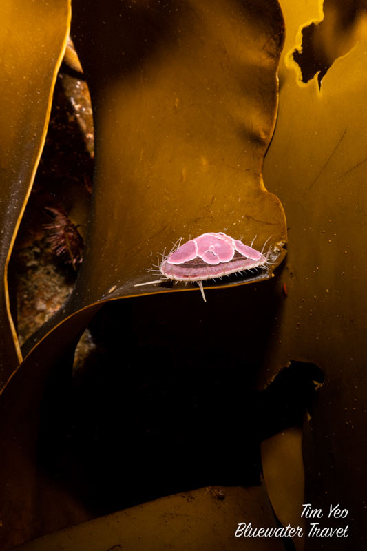 Antarctica trip 2023