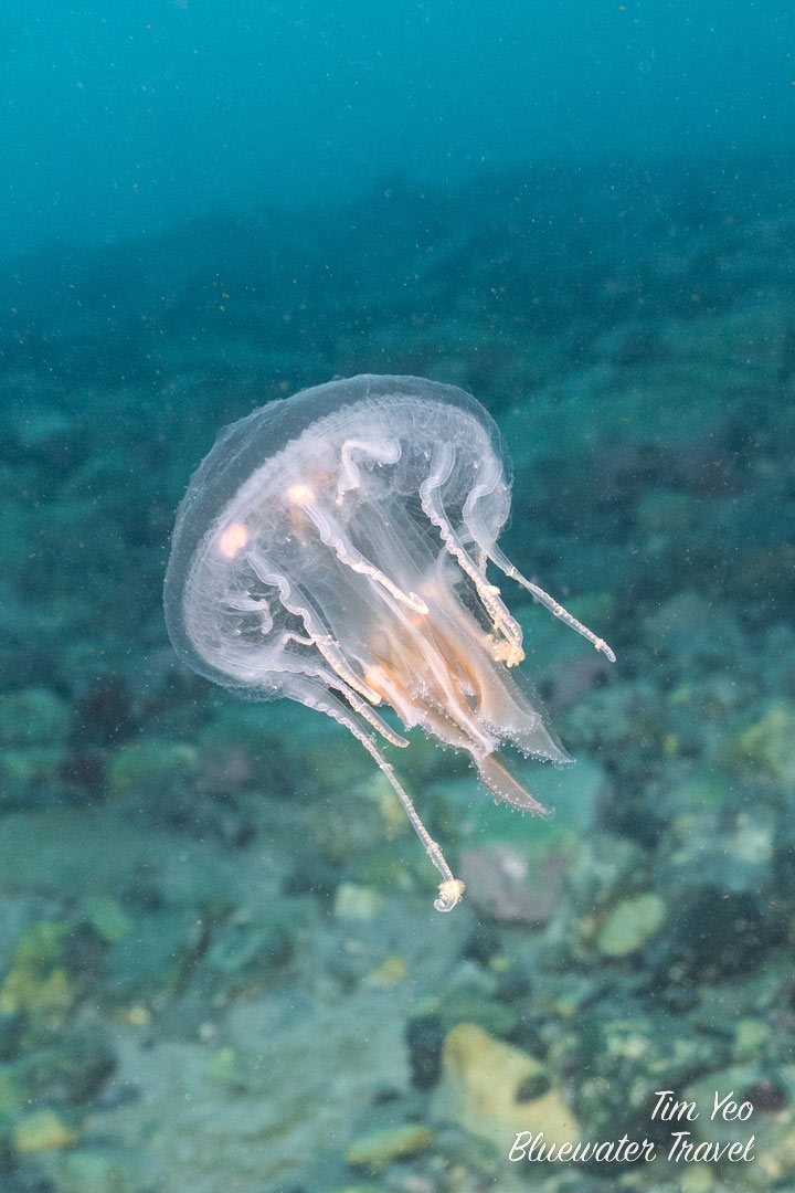 Antarctica trip 2023