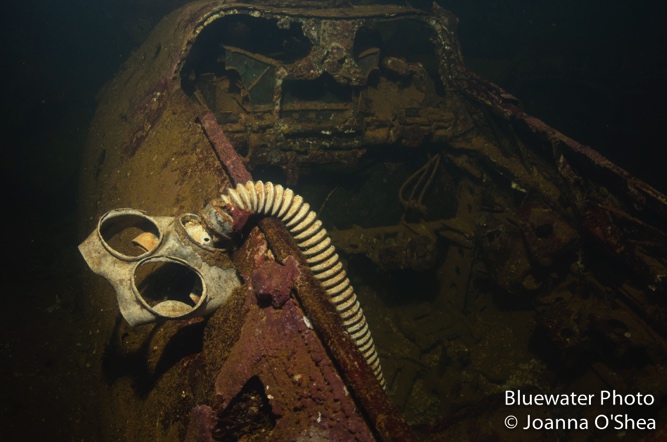 underwater world war ii wreck mask