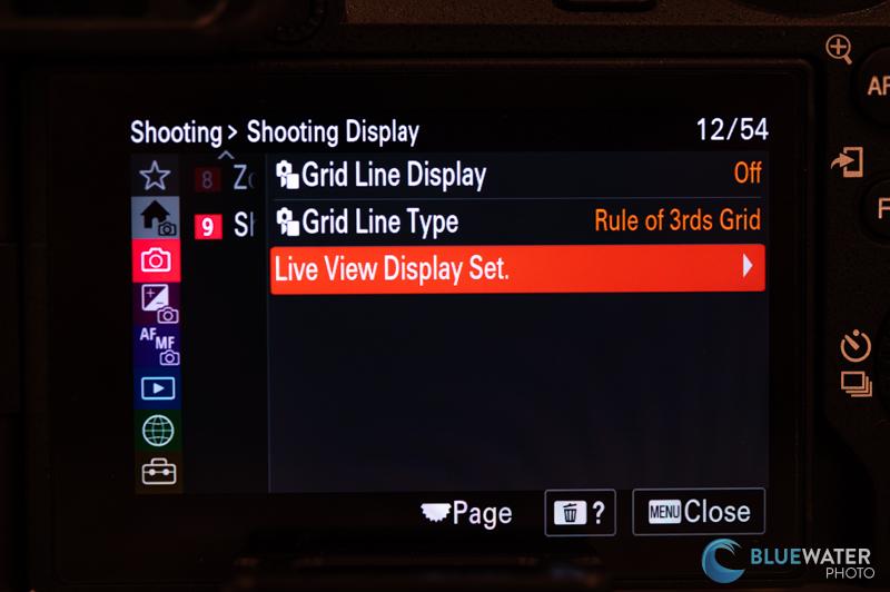 Sony a6700 live view display Sony a6700 live view display