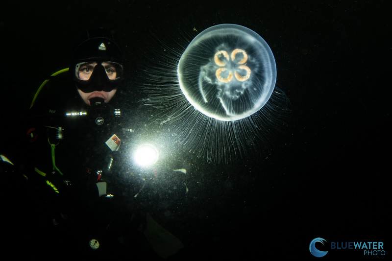 Highlights to shadows. A diver and jelly captured with the Sony a9 III and the Canon 8-15mm fisheye lens. 1/250, ISO 250, f/16 Highlights to shadows. A diver and jelly captured with the Sony a9 III and the Canon 8-15mm fisheye lens. 1/250, ISO 250, f/16