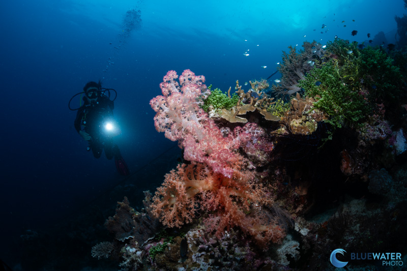 A high power strobe allows you to light up a large wide angle scene and produce beautiful colors and details A high power strobe allows you to light up a large wide angle scene and produce beautiful colors and details