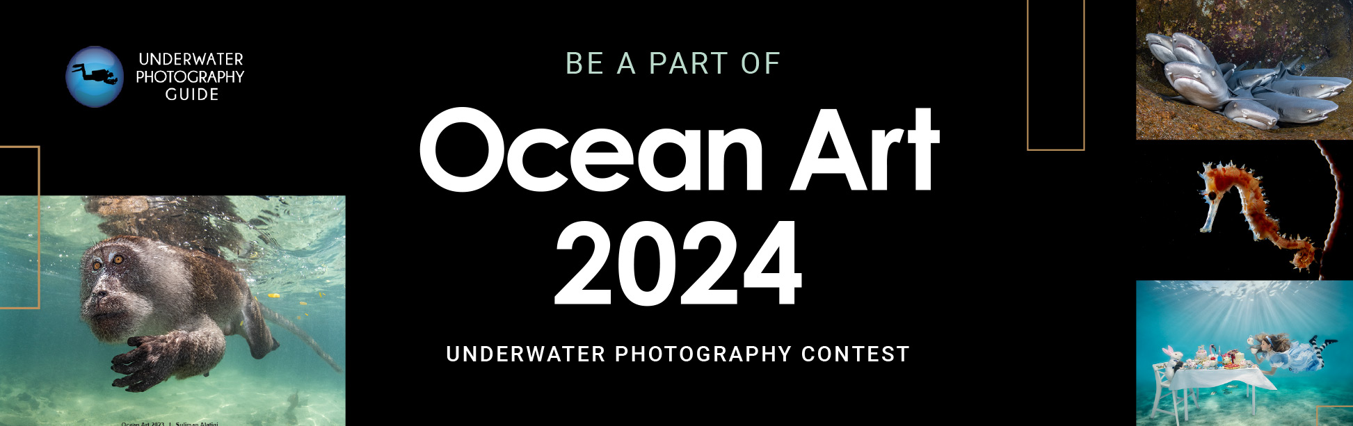 Ocean-Art-2024-1 (1)
