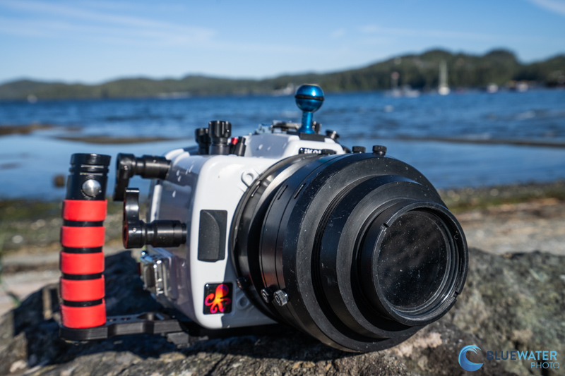 Ikelite Canon R5 Mark II Underwater Housing in the Field Ikelite Canon R5 Mark II Underwater Housing