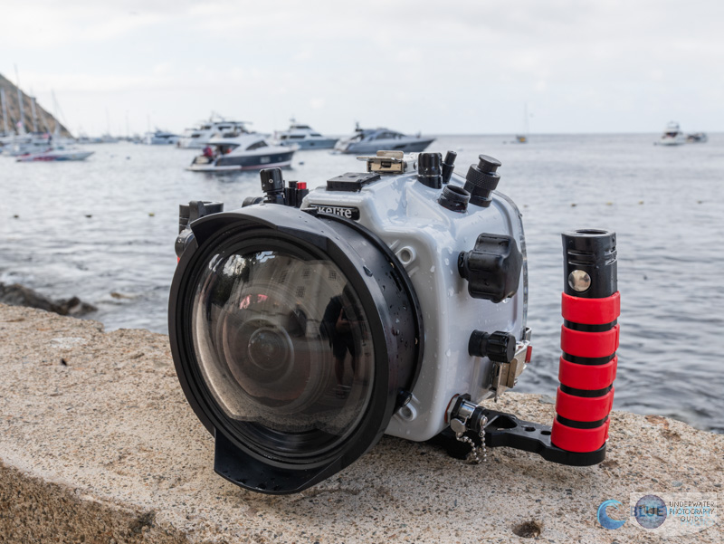 Ikelite Nikon Z6 III Underwater Housing in the Field at Catalina Island Ikelite Nikon Z6 III Underwater Housing in the Field