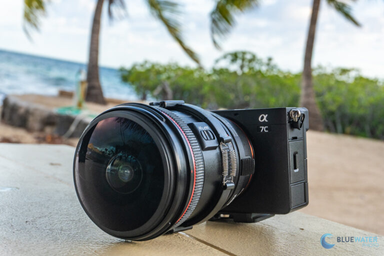 Sony A7C II Review DSC03377
